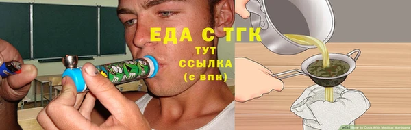 эйфоретик Алзамай