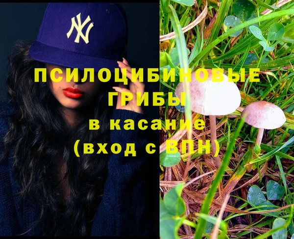 не бодяженный Надым